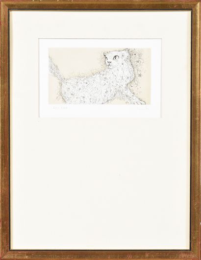Leonor FINI (1908-1996)

The cat 

Etching...