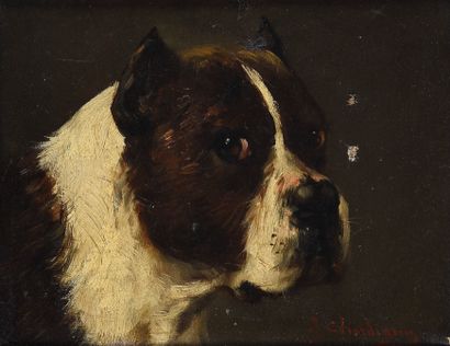 Jules CHARDIGNY (1842-1892)

Cane Corso

Oil...