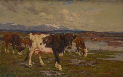 Clovis TERRAIRE (1858-1931)

Cows in the...