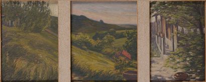 Adrien GODIEN (1873 -1949)

Paysage vallonné

Triptyque...