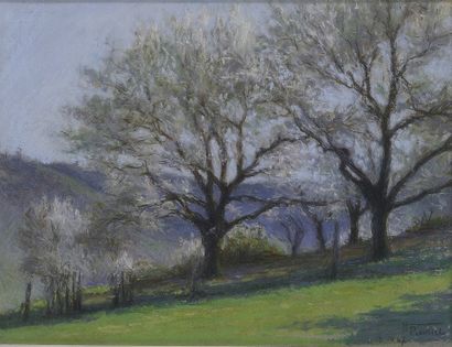 Henri ROUSSEL (1898-1959)

Verger en fleurs...