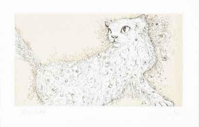 Leonor FINI (1908-1996)

The cat 

Etching...