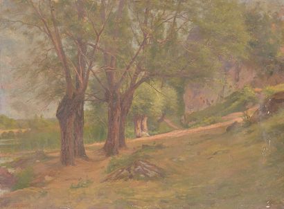 Jacques JOBBÉ-DUVAL (1854-1947)

Paysage...