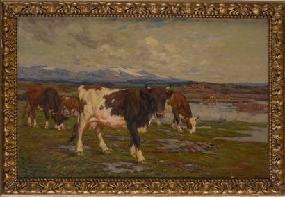 Clovis TERRAIRE (1858-1931)

Cows in the...