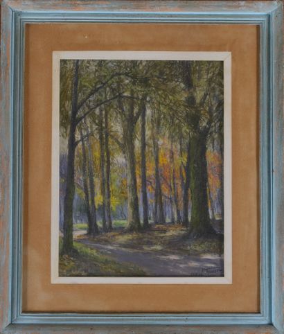 Henri ROUSSEL (1898-1959)

Arbres en automne,...