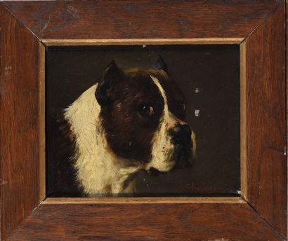 Jules CHARDIGNY (1842-1892)

Cane Corso

Oil...