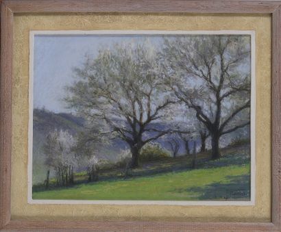Henri ROUSSEL (1898-1959)

Verger en fleurs...