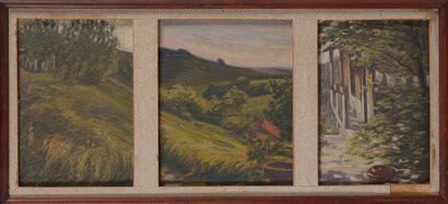 Adrien GODIEN (1873 -1949)

Paysage vallonné

Triptyque...