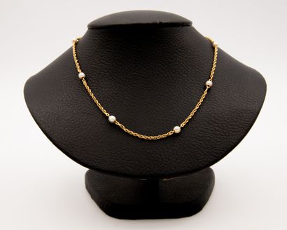 *Yellow gold 750‰ neck chain alternated with...