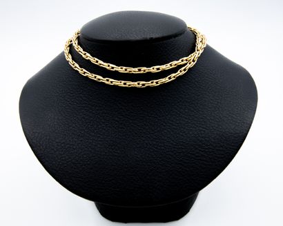 *Yellow gold 750‰ necklace, palm tree mesh,...