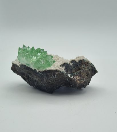 Fleur d'apophyllite verte sur gangue

Longueur...