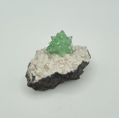 Fleur d'apophyllite verte sur gangue

Longueur...