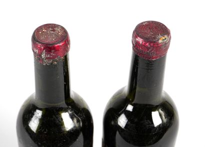 2 1/2 B PETRUS (1 M.E.+; 1 B.E.+; e.q.i....