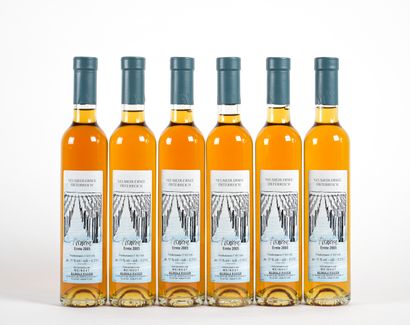 6 1/2 B ESWEIN ERNTE NEUSIEDLERSEE (Original...