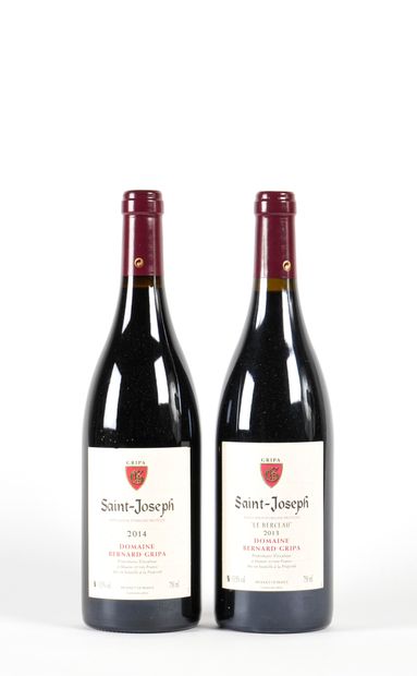 1 B SAINT-JOSEPH LE BERCEAU Red Domaine Bernard...