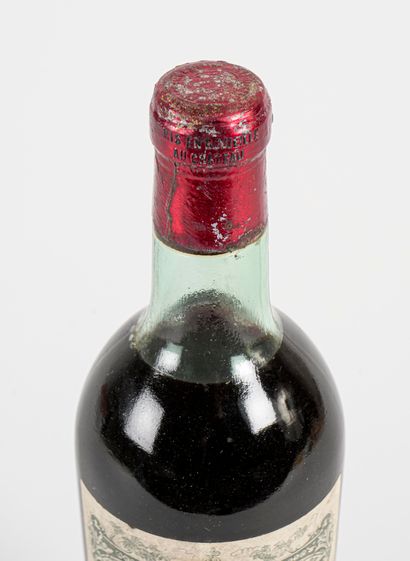 1 B PETRUS (T.L.B.-; e.t.h. to e.l.a; c.s....