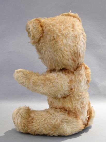 Ourson peluche ANIMA, Paris.
Les yeux marrons...