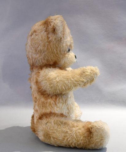 Ourson peluche ANIMA, Paris.
Les yeux marrons...