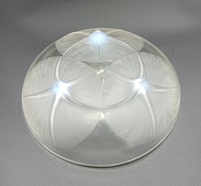LALIQUE France.
Volubilis