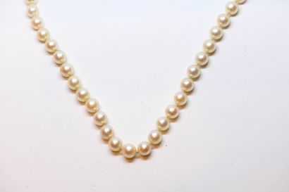 Choker necklace with 83 cultured pearls,...