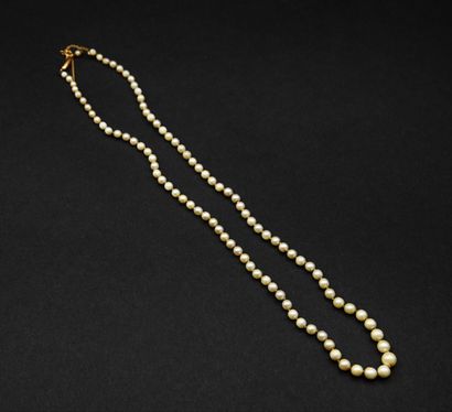 White pearl necklace. Wear on the pearls,...