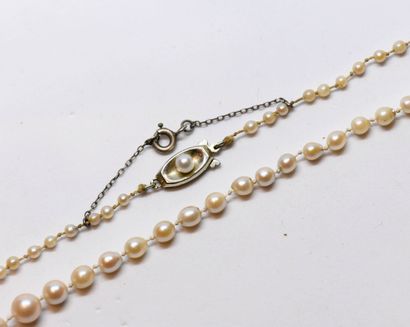 Necklace of probably fine pearls.
D pearls:...