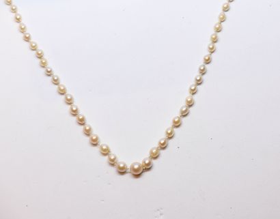 Necklace of probably fine pearls.
D pearls:...