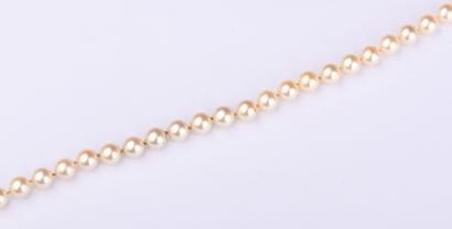 Choker necklace with 83 cultured pearls,...