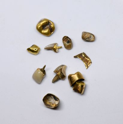Lot of dental gold with amalgam
Gross weight:...