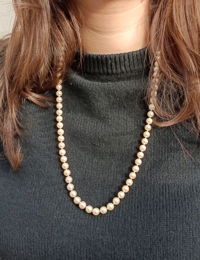Choker necklace with 83 cultured pearls,...