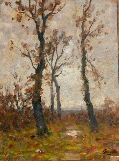 Alphonse STENGELIN (1852-1938)
Trees in Autumn...