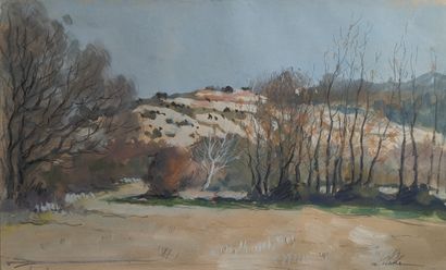 E. MARA or HARA (20th century)
Provence landscape...