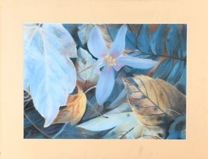 Marie-Claude BOLLAND (1938-2002)
Leaves and...
