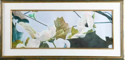 Marie-Claude BOLLAND (1938-2002)
Flowering...