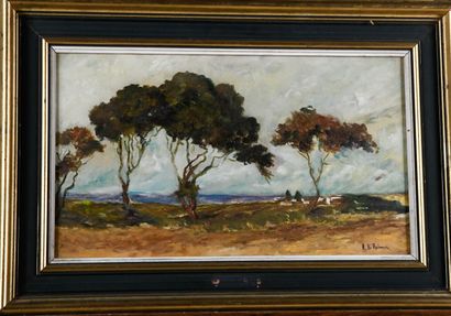 R. DI PALMA (20th century)
Italian landscape...