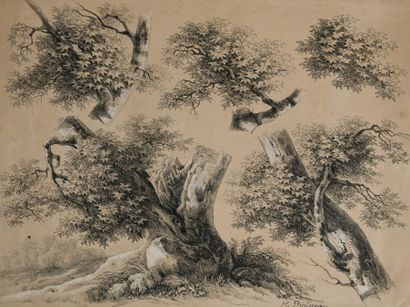 Henri BOISSEAU (1794-1848)
Study of Trees
Black...