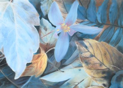 Marie-Claude BOLLAND (1938-2002)
Leaves and...