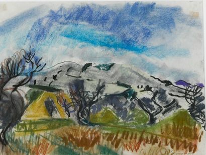 Willy Eisenschitz (1889-1974)
Provence landscape
Pastel...