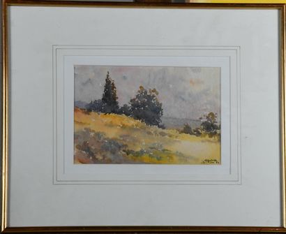 Gabriel LARDAT (1900-1994)
Garrigue at Saint-Pons-de-Mauchiens,...