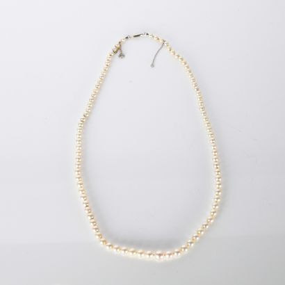 Fallen cultured pearl necklace (diam. 4 to...
