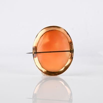 18-carat (750 thousandths) yellow gold brooch...