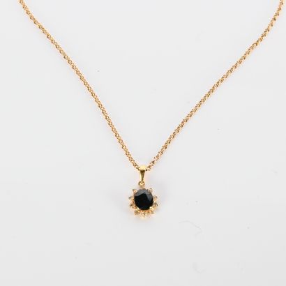 Jaseron mesh necklace set with a sapphire...