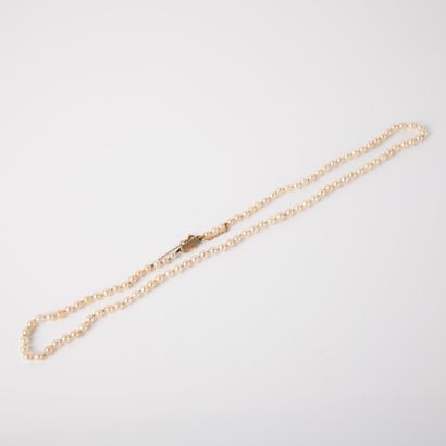 Choker necklace of white cultured pearls,...