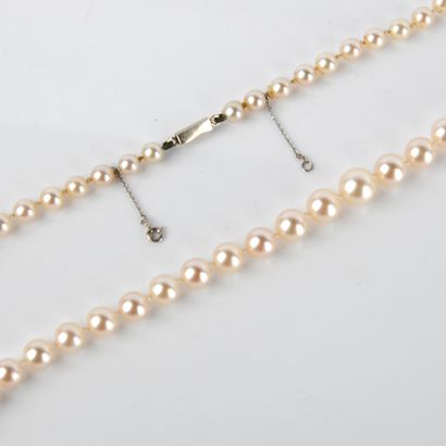 Collier de perles de culture en chute et...