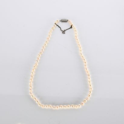 Collier choker de perles de culture (5,3...