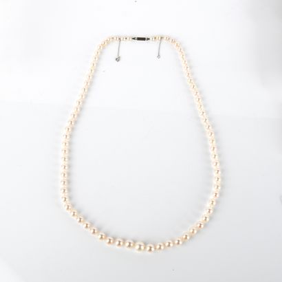 Collier de perles de culture en chute et...