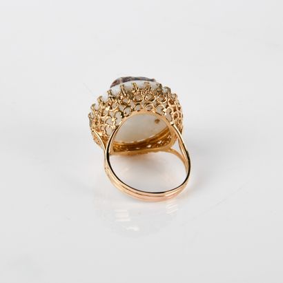 Dog portrait ring, important ring centered...