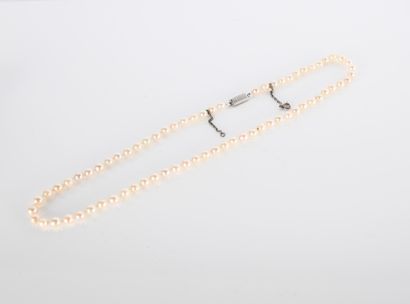 Collier choker de perles de culture (5,3...