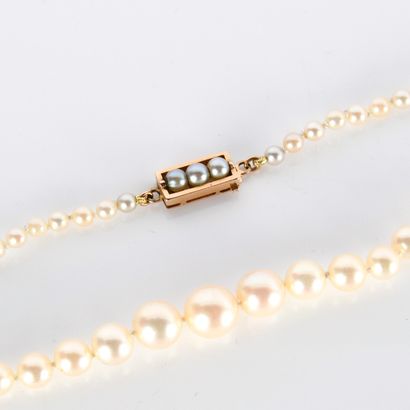 Fallen cultured pearl necklace (diam. 3.2...