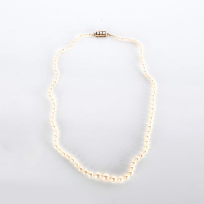 Fallen cultured pearl necklace (diam. 3.2...